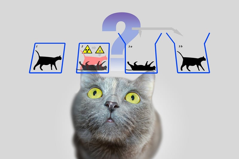 Quantum Teleportation